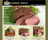 Taylor Industries Web Snapshot